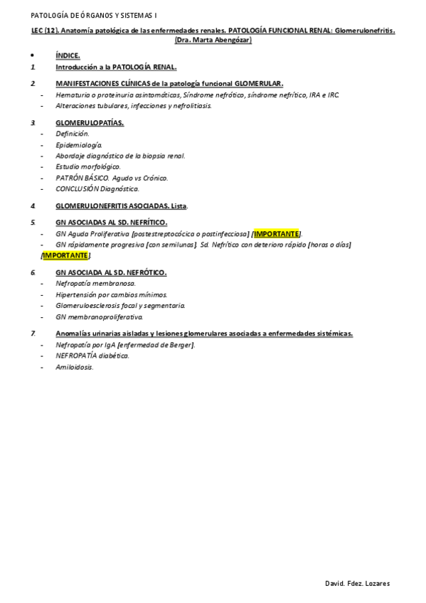 Miniatura del documento LEC-12.-Anatomia-patologica-de-las-enfermedades-renales.-PATOLOGIA-FUNCIONAL-RENAL.-Glomerulonefritis..pdf