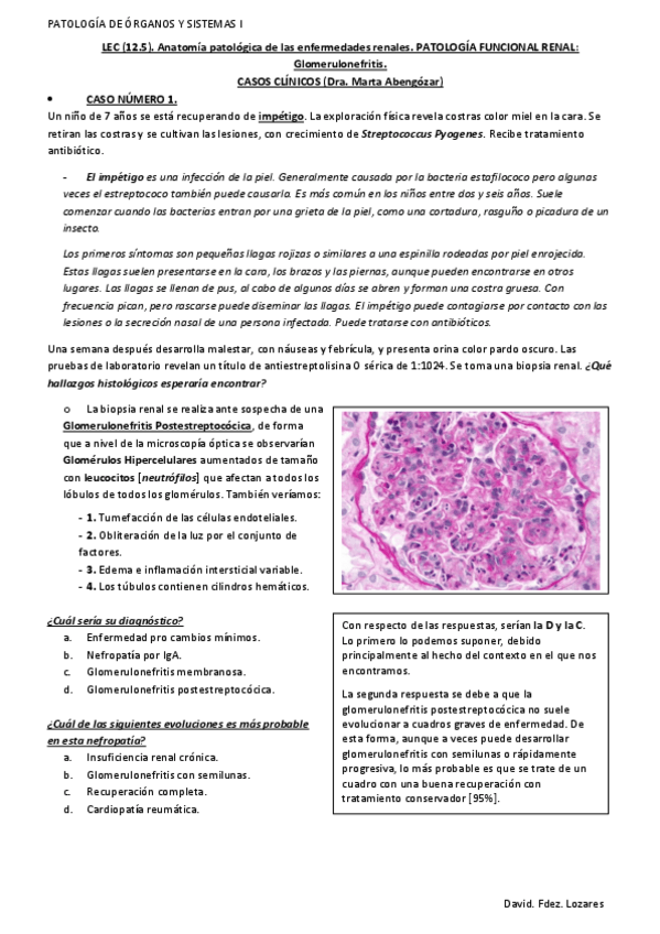 Miniatura del documento LEC-12.5.-Anatomia-patologica-de-las-enfermedades-renales.-PATOLOGIA-FUNCIONAL-RENAL.-Glomerulonefritis..pdf