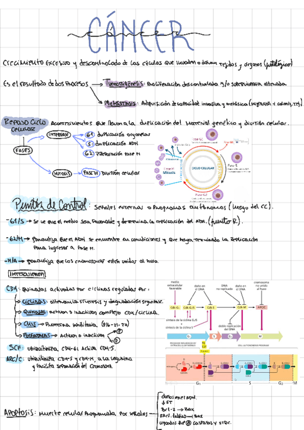 Miniatura del documento 3-Cancer-231004111451.pdf