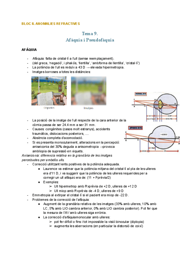 Miniatura del documento OPTO-I.-TEMA-9.pdf