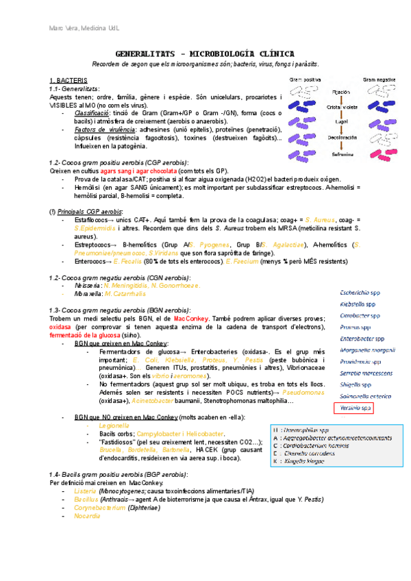 Miniatura del documento Resum-micro-generalitats-ITU-GEA.pdf