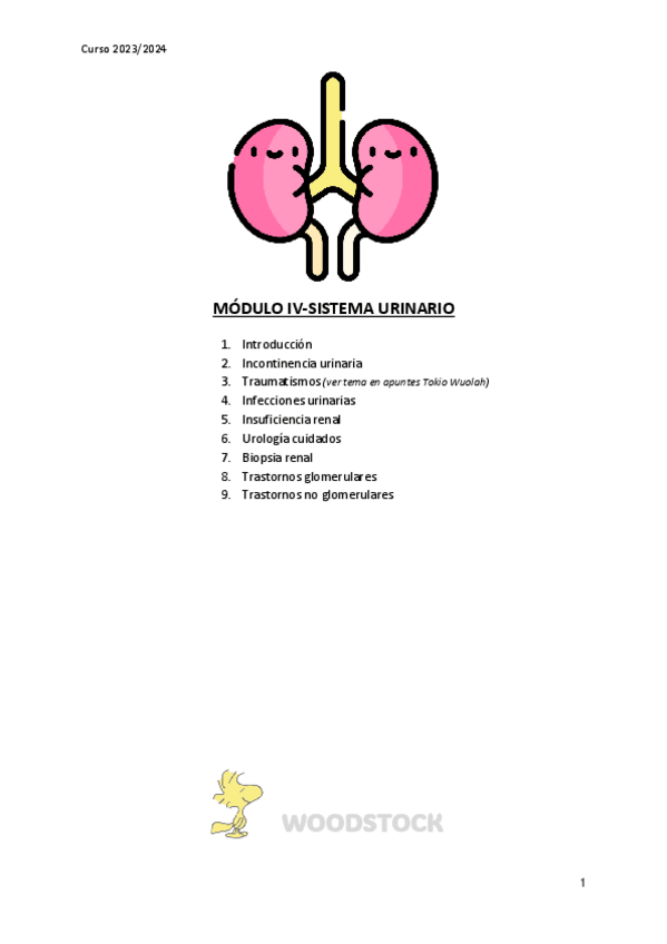 Miniatura del documento Renal-Santi-Clinica-II-Curso-2324.pdf