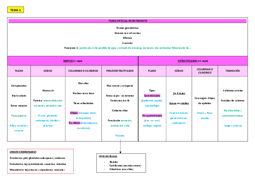 Miniatura del documento Resumenes-HISTOLOGIA-por-temas.pdf