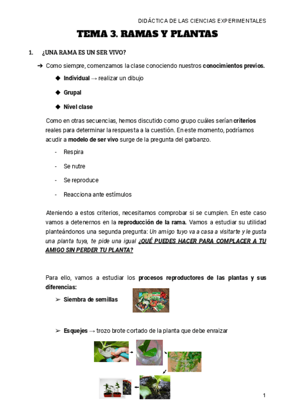 Miniatura del documento Tema-3.-RAMAS-Y-PLANTAS.pdf
