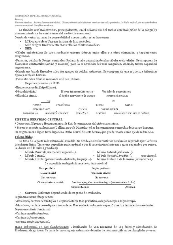 Miniatura del documento t13.pdf