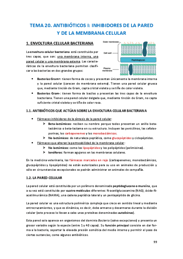 Miniatura del documento Farma-tema-20.pdf