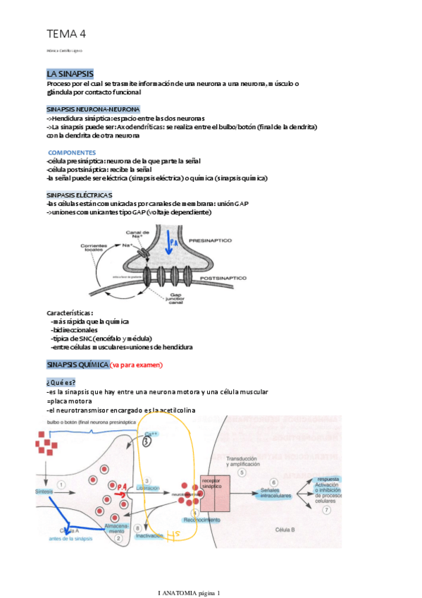 Miniatura del documento TEMA-4.pdf