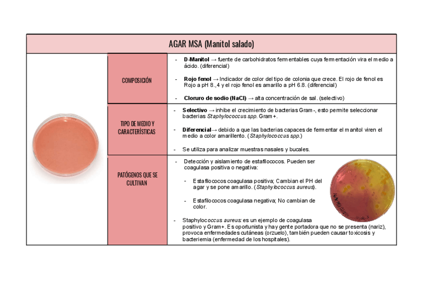 Miniatura del documento tabla-agares.pdf