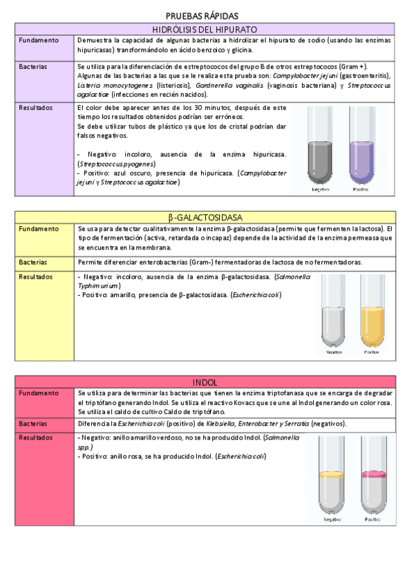 Miniatura del documento tecnicas-de-identificacion.pdf