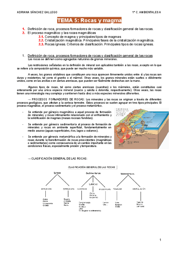 Miniatura del documento TEMA-5/6-Rocas-y-magma.pdf