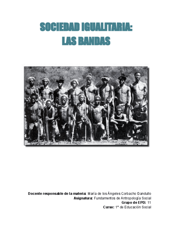 Miniatura del documento EPD Las bandas.pdf