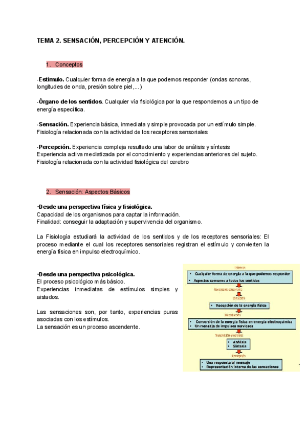 Miniatura del documento Tema-2-Sensacion-Percepcion-y-Atencion.pdf