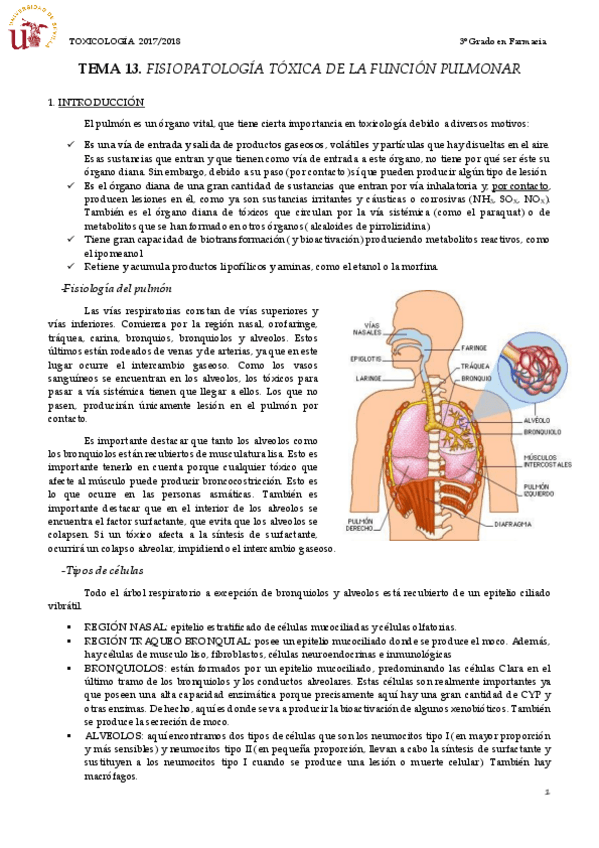 Miniatura del documento TEMA 13 FISIOPATOLOGÍA TÓXICA DE LA FUNCIÓN PULMONAR.pdf
