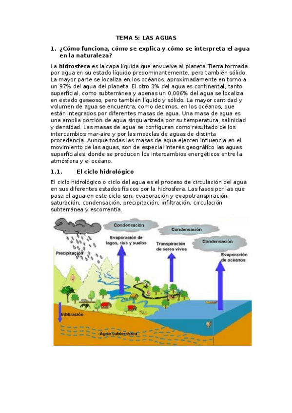 Miniatura del documento TEMA-5.docx