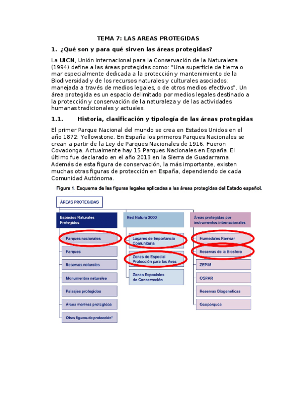 Miniatura del documento TEMA-7.docx