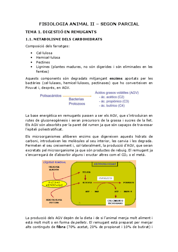 Miniatura del documento FISIOLOGIA ANIMAL II - REMUGANTS- MEDI INTERN, SANG.pdf