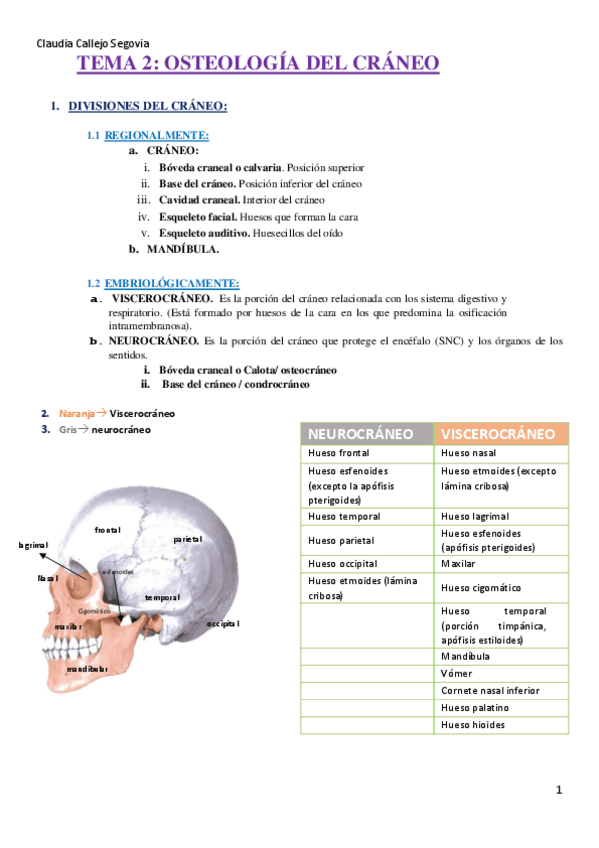 Miniatura del documento TEMA-2-OSTEOLOGIA.-Claudia-Callejo-Segovia..pdf
