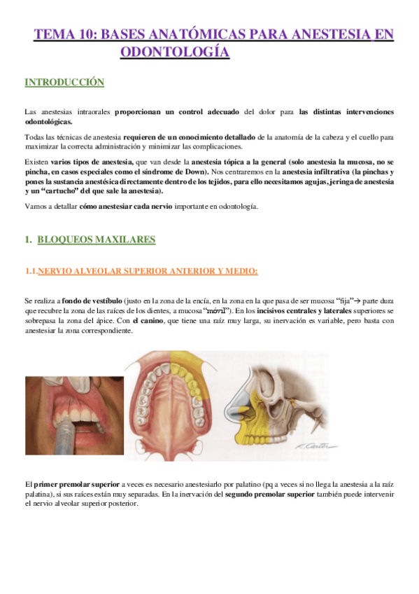 Miniatura del documento TEMA-10-ANESTESIA.-claudia-Callejo-Segovia.pdf