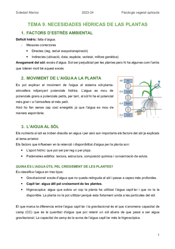 Miniatura del documento TEMA-9.-NECESIDADES-HIDRICAS-DE-LAS-PLANTAS.pdf