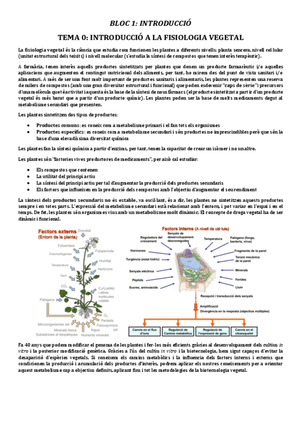 Miniatura del documento TOT-FISIOLOGIA-VEGETAL-MATRICULA-DHONOR.pdf