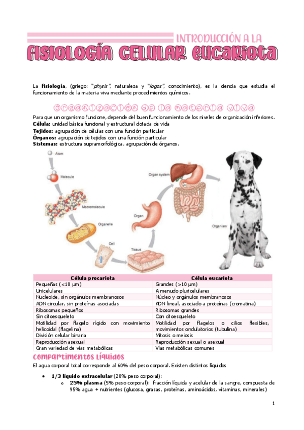 Miniatura del documento fisiologia-teresa-completo.pdf