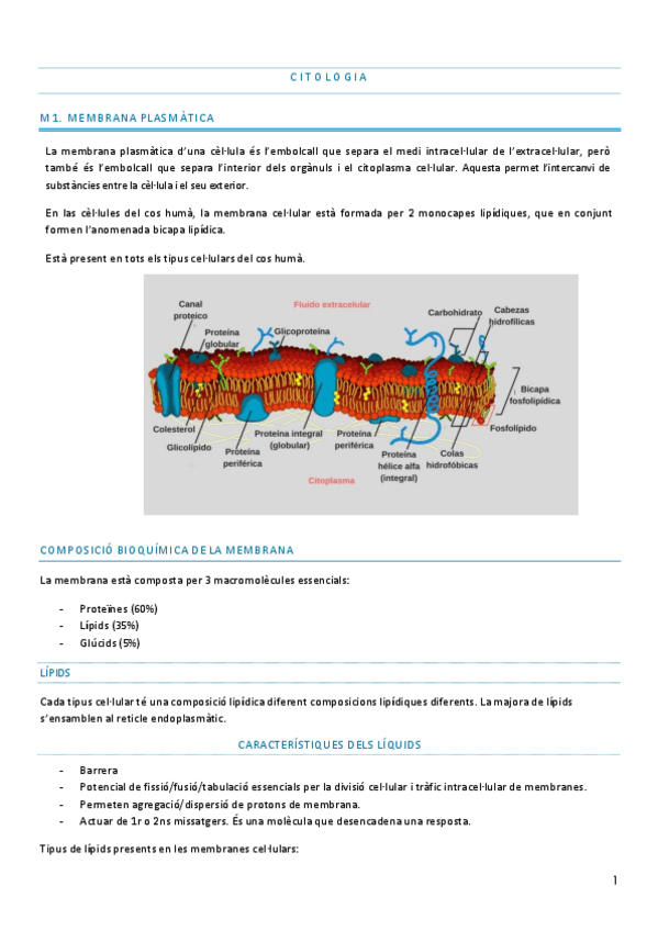Miniatura del documento MAGISTRALS-BIOLOGIA.pdf