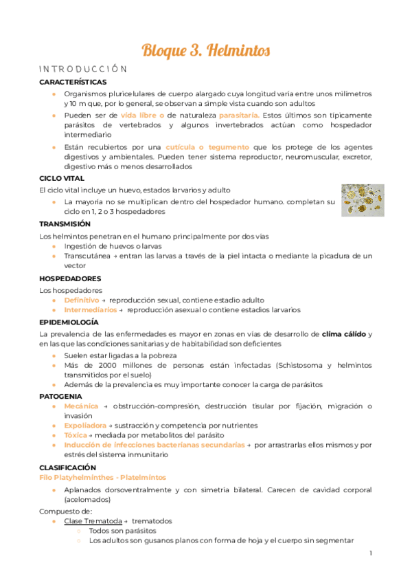 Miniatura del documento Tema-7.-Trematodos.pdf