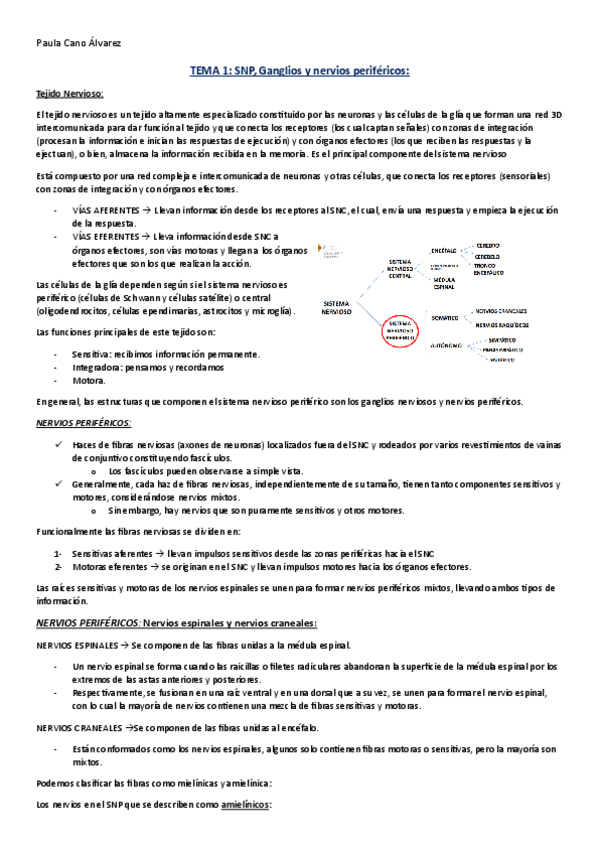 Miniatura del documento TEMA-1.-SNP-ganglios-y-nervios-perifericos-apuntes.pdf