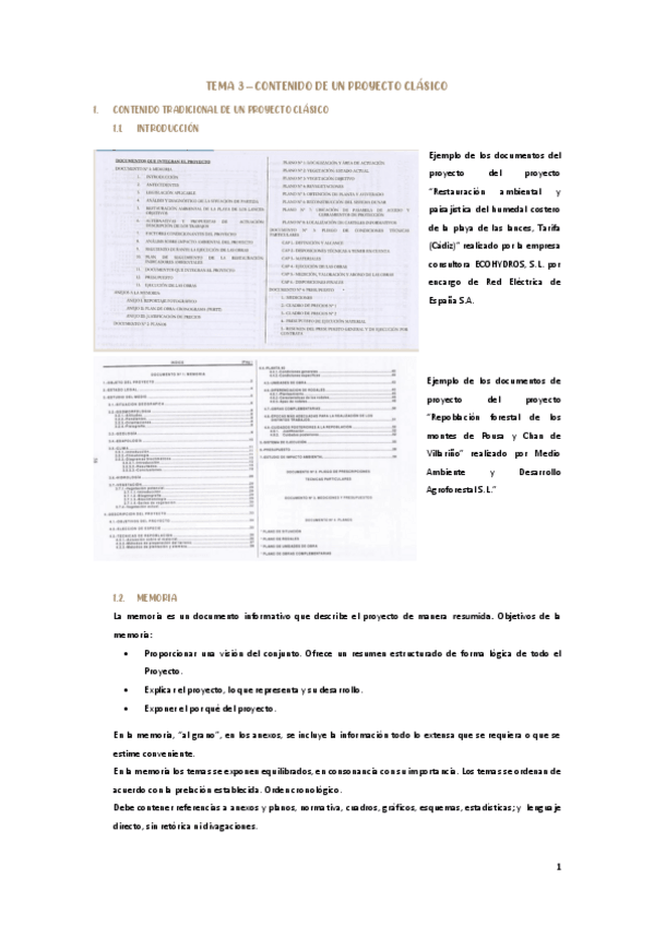 Miniatura del documento TEMA-3-PROYECTOS.pdf