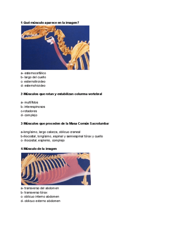 Miniatura del documento Test-Miologia.pdf