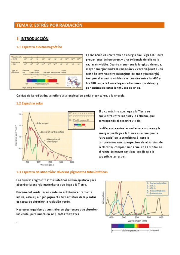Miniatura del documento FVA TEMA 8.pdf