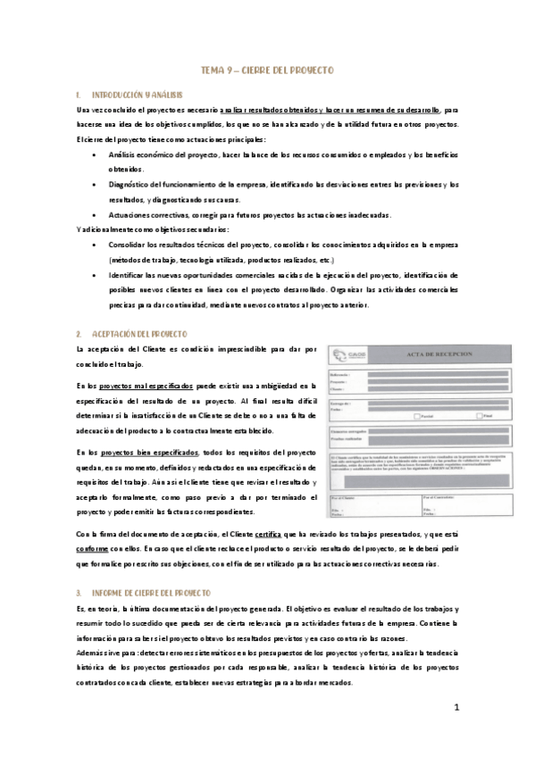Miniatura del documento TEMA-9-PROYECTOS.pdf