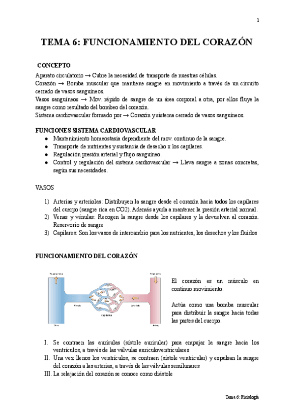 Miniatura del documento TEMA-6-FISIOLOGIA.pdf
