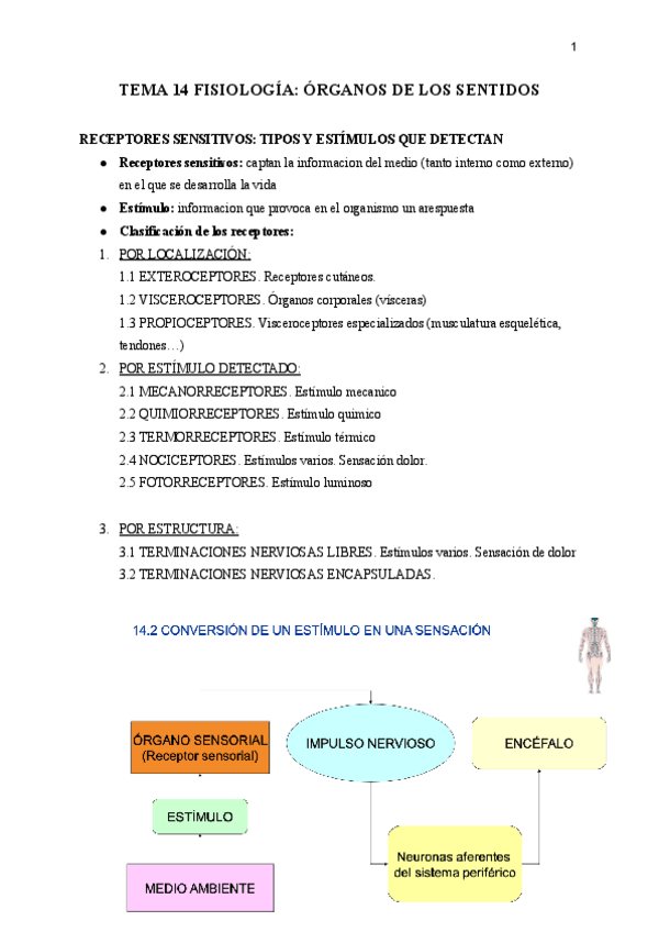 Miniatura del documento TEMA-14-FISIO.pdf