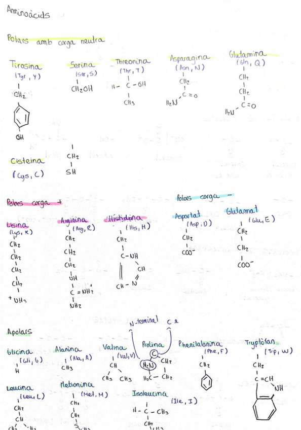Miniatura del documento grups-funcionals-i-aas-BQ.pdf