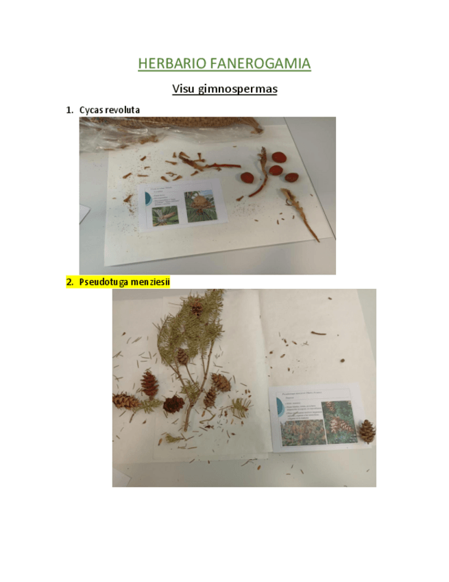 Miniatura del documento Herbario-fanero.pdf