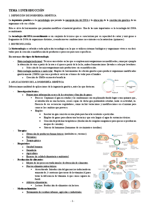 Miniatura del documento INGENIERIA-GENETICA-TEMA-1-INTRODUCCION-INGENIERIA-GENETICA.pdf
