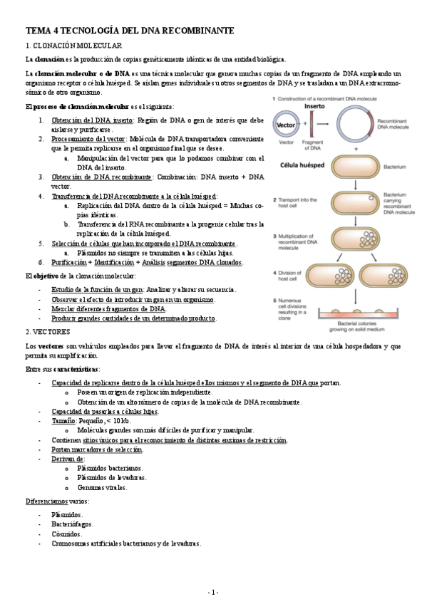 Miniatura del documento INGENIERIA-GENETICA-TEMA-4-TECNOLOGIA-DEL-DNA-RECOMBINANTE.pdf