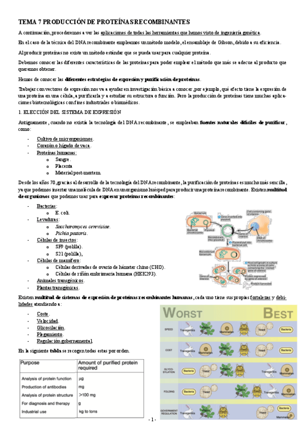 Miniatura del documento INGENIERIA-GENETICA-TEMA-7-PRODUCCION-DE-PROTEINAS-RECOMBINANTES.pdf