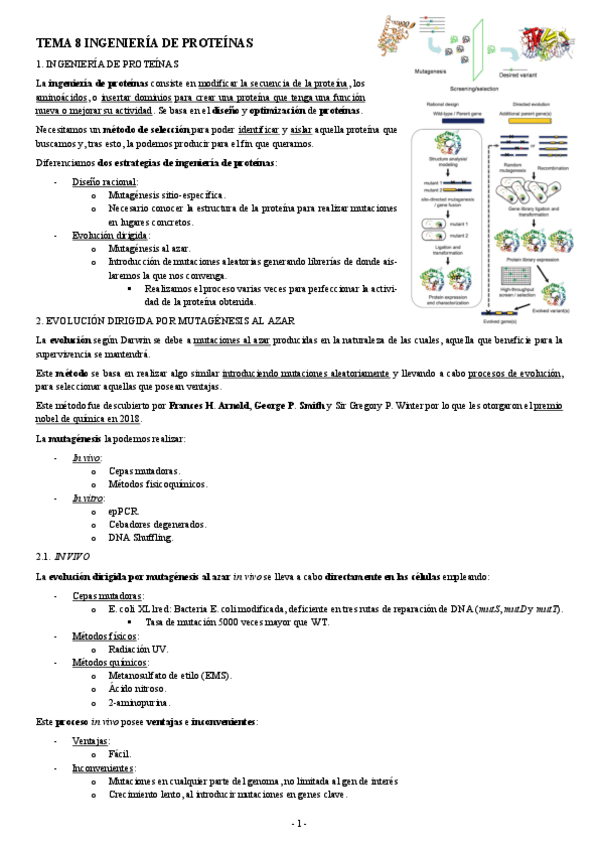 Miniatura del documento INGENIERIA-GENETICA-TEMA-8-INGENIERIA-DE-PROTEINAS.pdf