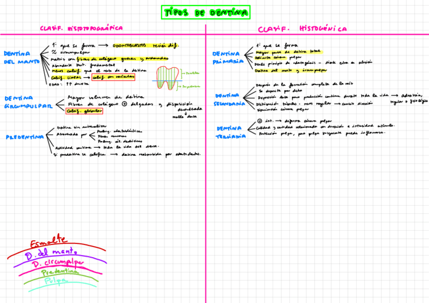 Miniatura del documento Conceptos-importantes-de-histologia.pdf