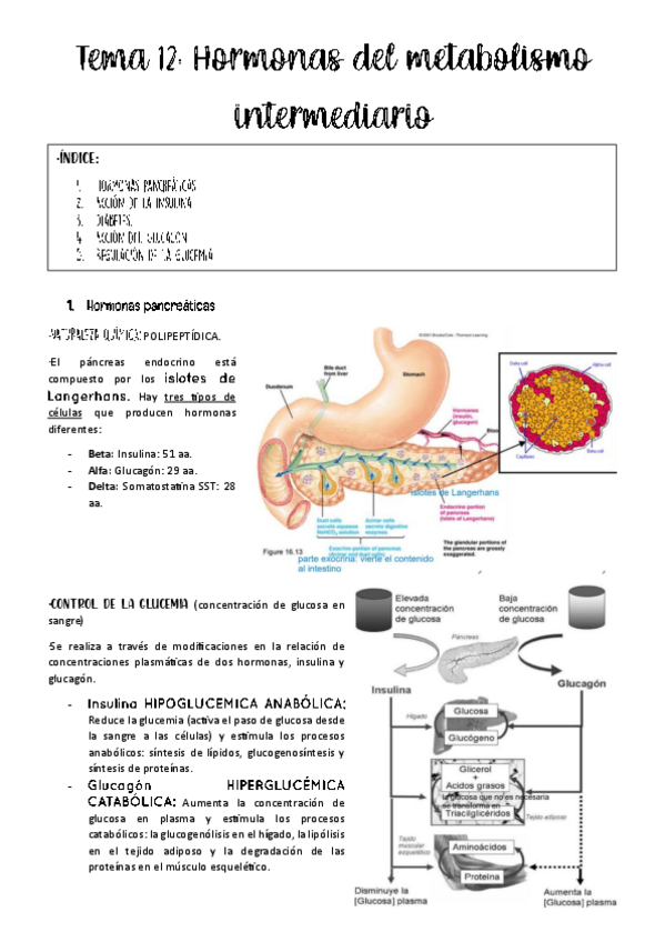 Miniatura del documento tema-12-fisio-animal.pdf