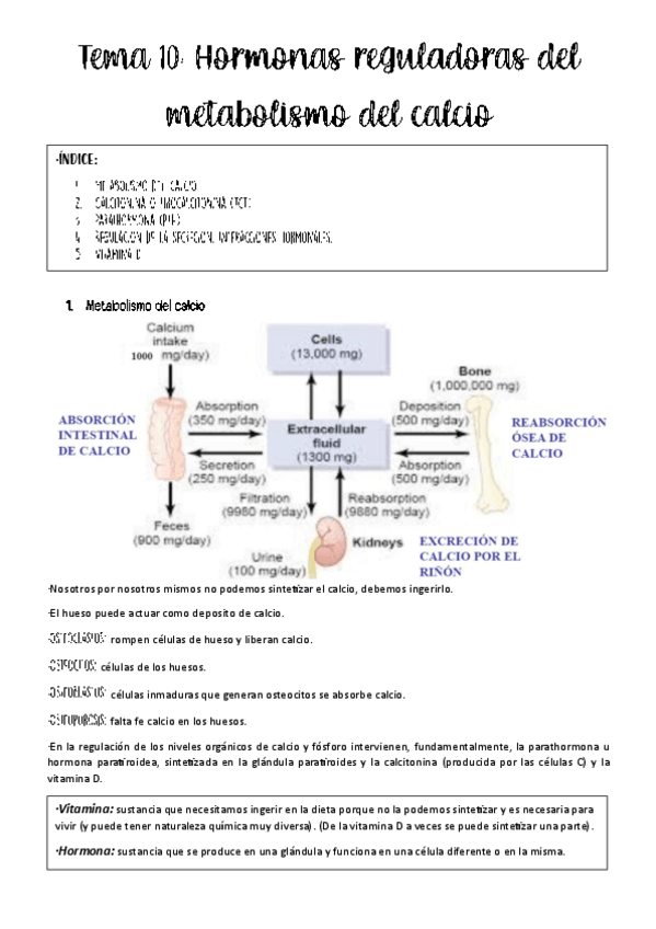 Miniatura del documento tema-10-fisio-animal.pdf