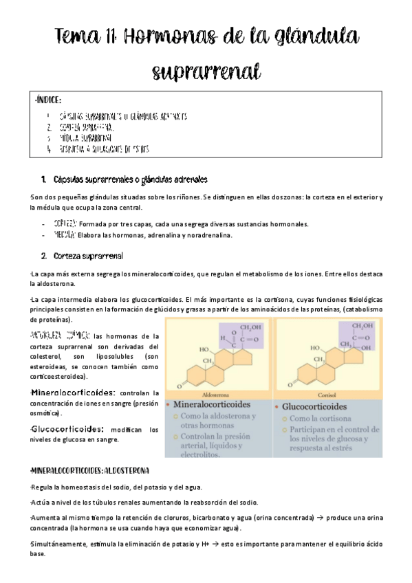 Miniatura del documento tema-11-fisio-animal.pdf