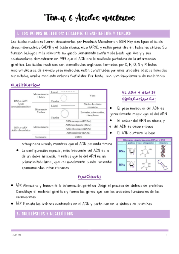 Miniatura del documento Tema-6-Acidos-nucleicos.pdf