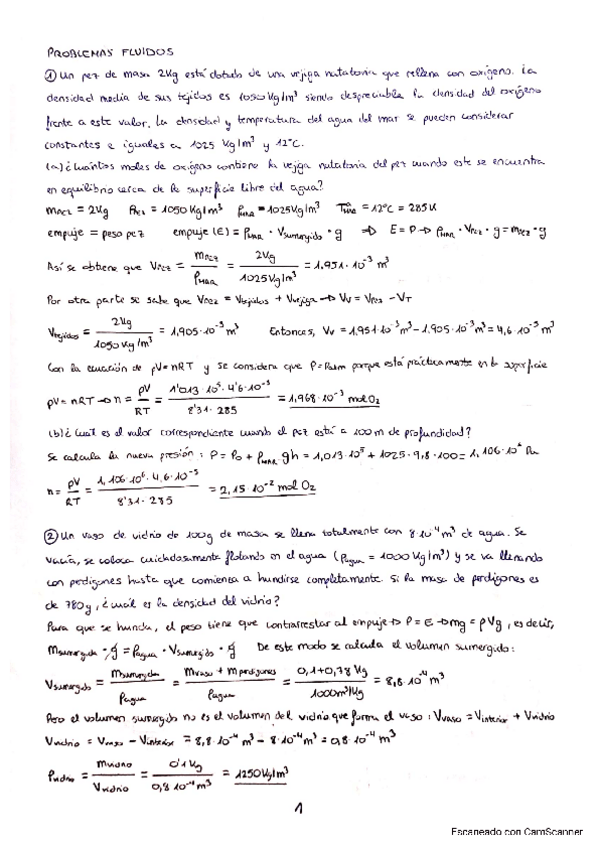 Miniatura del documento Problemas resueltos fluidos.pdf
