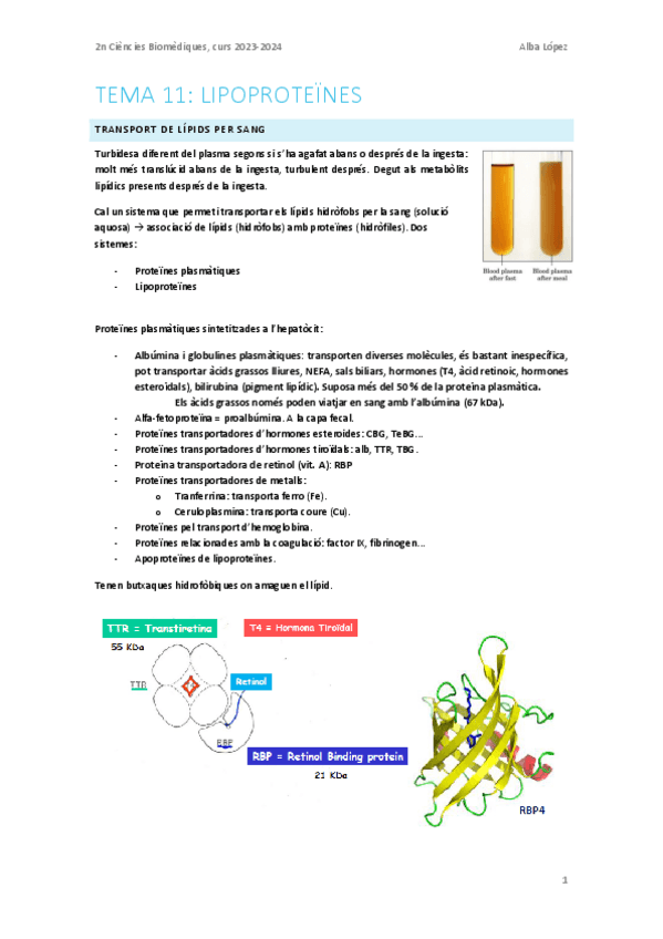 Miniatura del documento Tema-11.-Lipoproteines.pdf