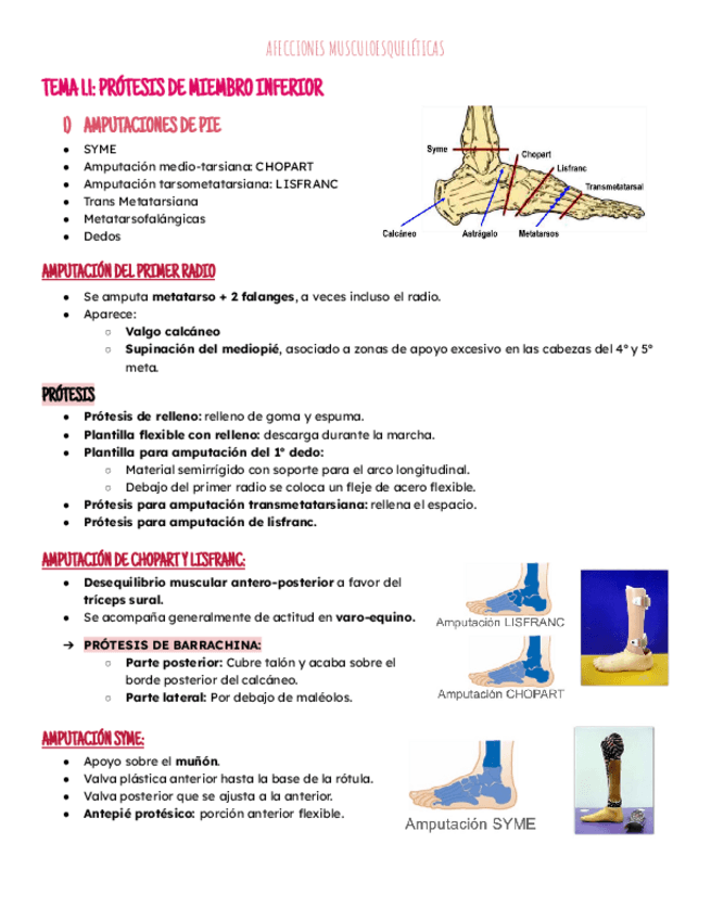 Miniatura del documento Tema 1: Protesis MI y MS.pdf
