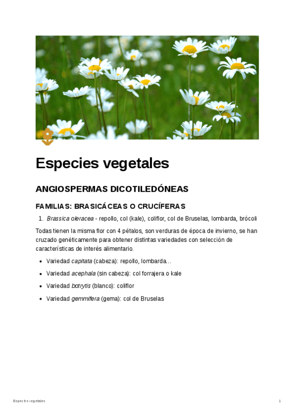 Miniatura del documento Lista-de-nombre-cientifico-plantas.pdf