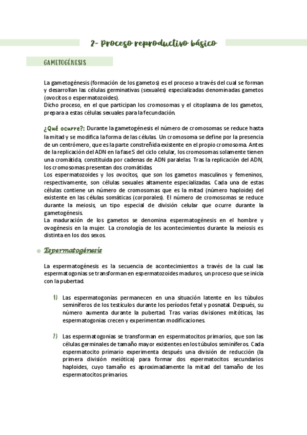 Miniatura del documento Apuntes-embriologia-Tema-2.pdf